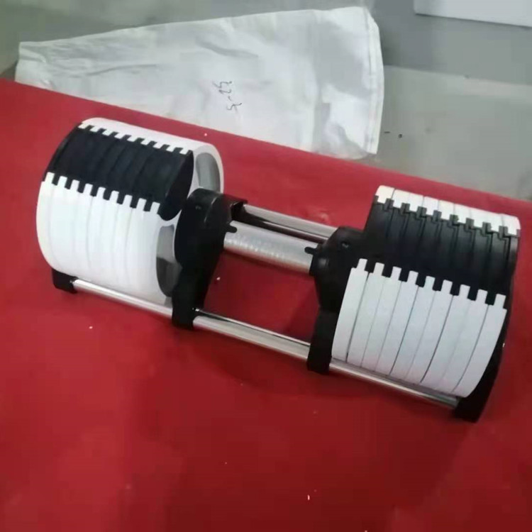 2026 2026 High-End Weights Bod - đánh giá và giá Adjustable Dumbbell Pair 40Kg